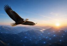 Eagleview launches Eagleview Horizon Eagleview launches Eagleview Horizon | AI PropTech News